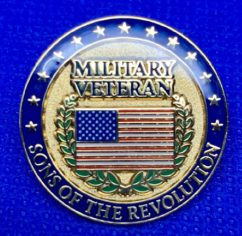 Military Veterans Pin